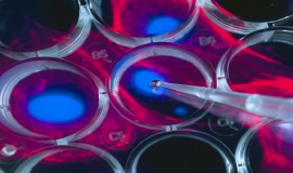 العلماء يبتكرون خلايا "سايبورغ" شبه حية يمكنها إحداث نقلة نوعية في الطب!