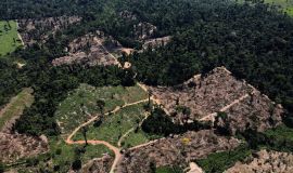 البرازيل تطرد المستوطنين غير الشرعيين من أراضي السكان الأصليين في الأمازون